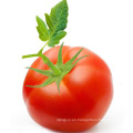 Tomate en polvo con buen sabor